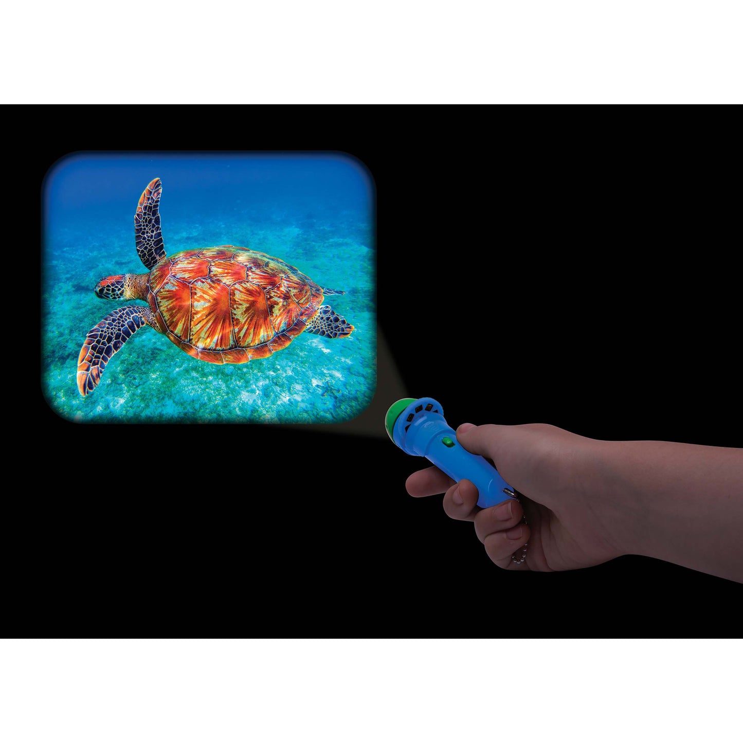 IsAlbi - Torch Projector - Animal Kingdom