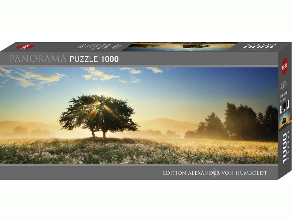 Heye - Play of Light Panorama 1000 piece