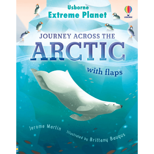 Usborne Books journey across the arctic cover with polar bear diving toyworld lismore