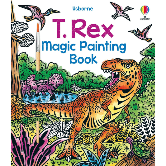 Usborne books magic painting dinosaur themed add water and watch the paper change colourtoyworld lismore
