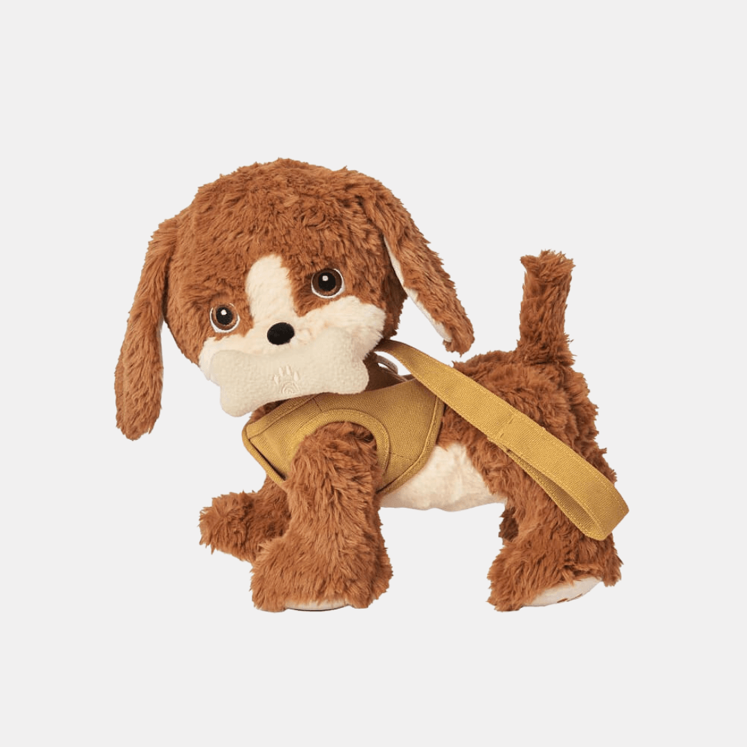 Dinkum Dogs - Buddy - Olli Ella