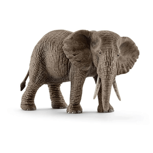 Schleich - African Elephant Female
