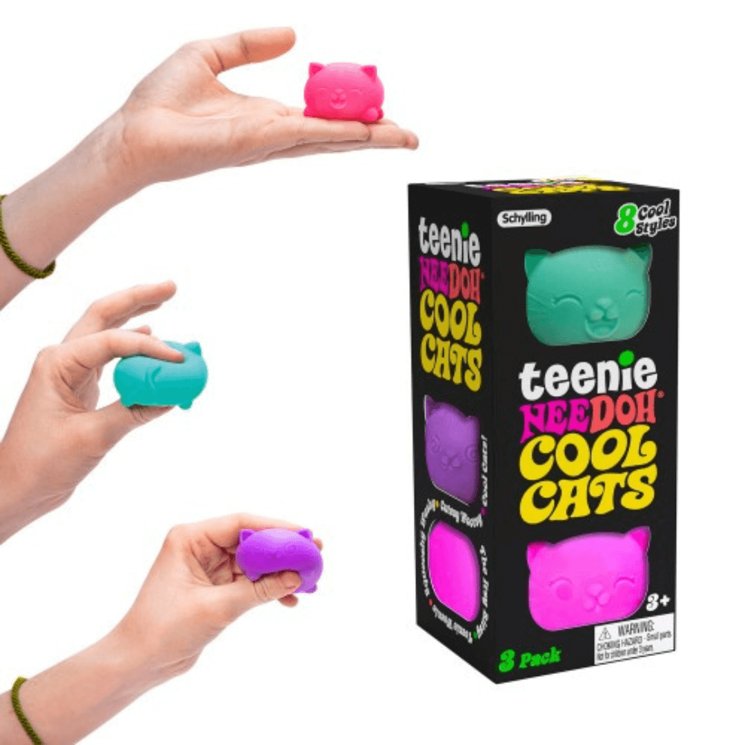 Schylling - Cool Cats Teenie Nee Doh