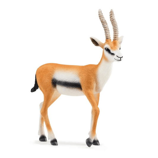 Schleich - Thomson Gazelle