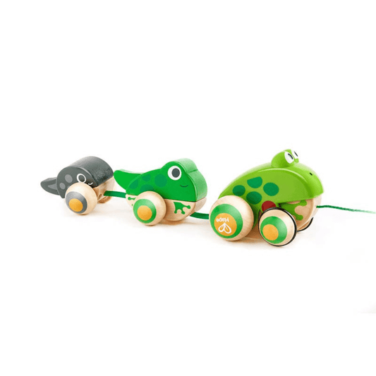 hape pull along frog family toyworld lismore