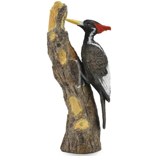 Collecta - Ivory-Billed Woodpecker