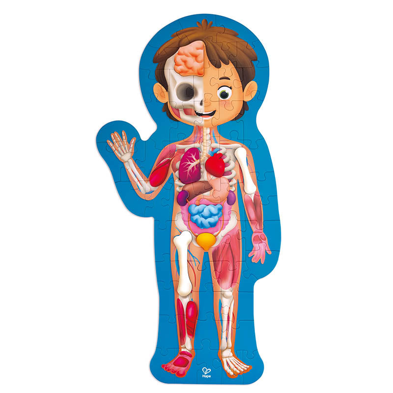 Hape human body puzzle with wooden body parts