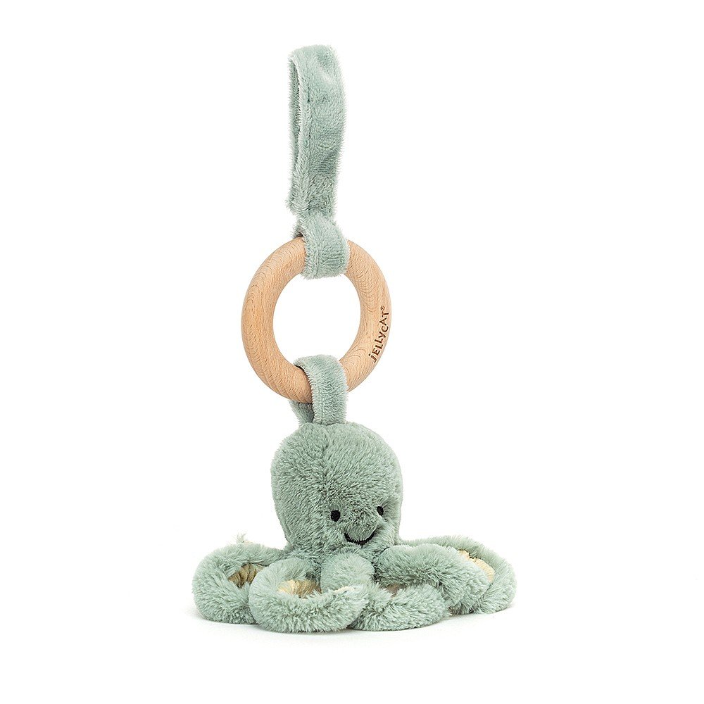 Odyssey Wooden Ring Toy