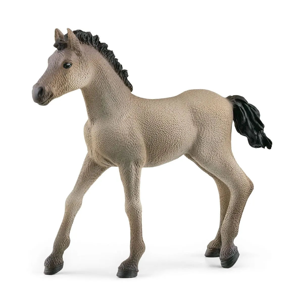 Schleich - Criollo Definitivo Foal