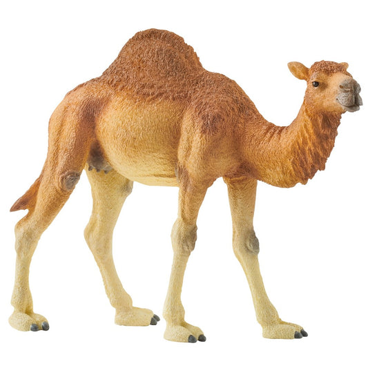 Dromedary Camel Figurine