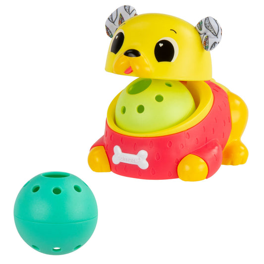 crawl and chase pug