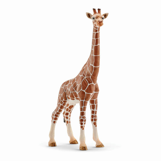 Schleich - Giraffe Calf