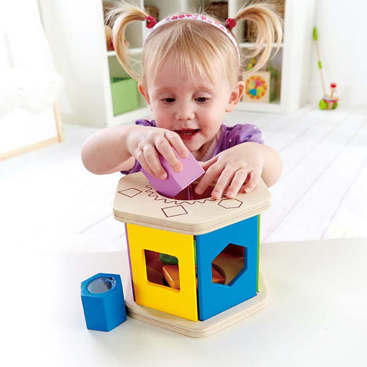 Hape - Shake n Match Shape Sorter