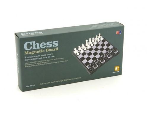 Magnetic Chess 10 Inch