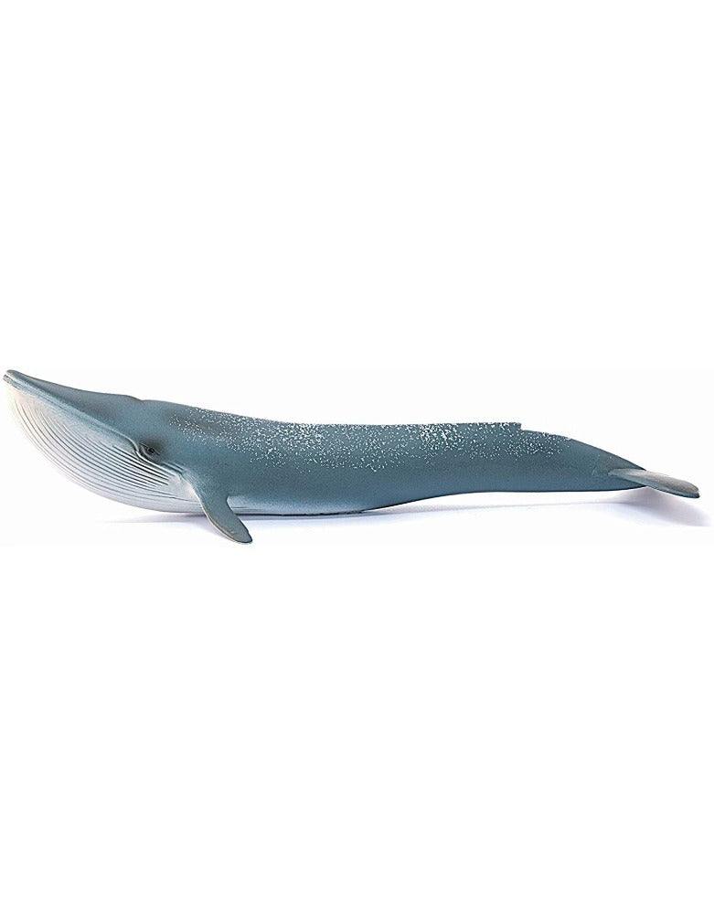 Blue Whale Schleich Figurine