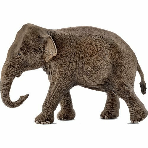 schleich asian elephant female mytoykingdom